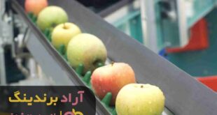 شرکت سازنده دستگاه سورتینگ میوه