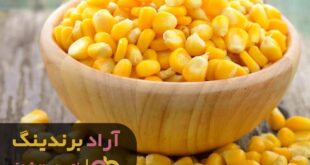 قیمت و خرید ذرت شیرین فله ای چلنجر قزوین در بازار
