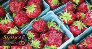 توت فرنگی خوشه ای
