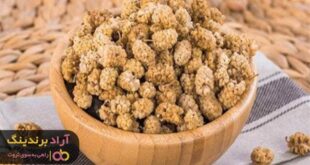 فروش توت خشک حبه ای