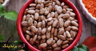 لوبیا چیتی شمالی