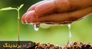 نهال شليل زودرس