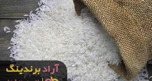 برنج چمپا محلی