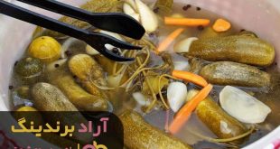 خیارشور خانگی ۱۴۰1