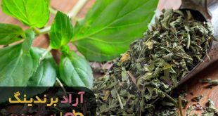 سبزی خشک فله ای