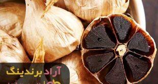 سیر سیاه لاغری