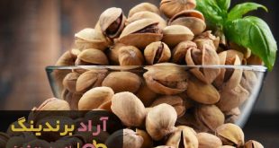 پسته کله قوچی خندان