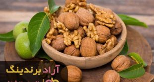 گردو پوست کاغذی تویسرکان
