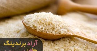 برنج کامفیروزی در شیراز