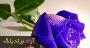گل رز آبی مصنوعی